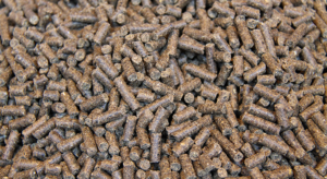 Animal Nutrition