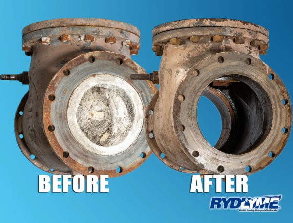 Check valve before and after struvite removal